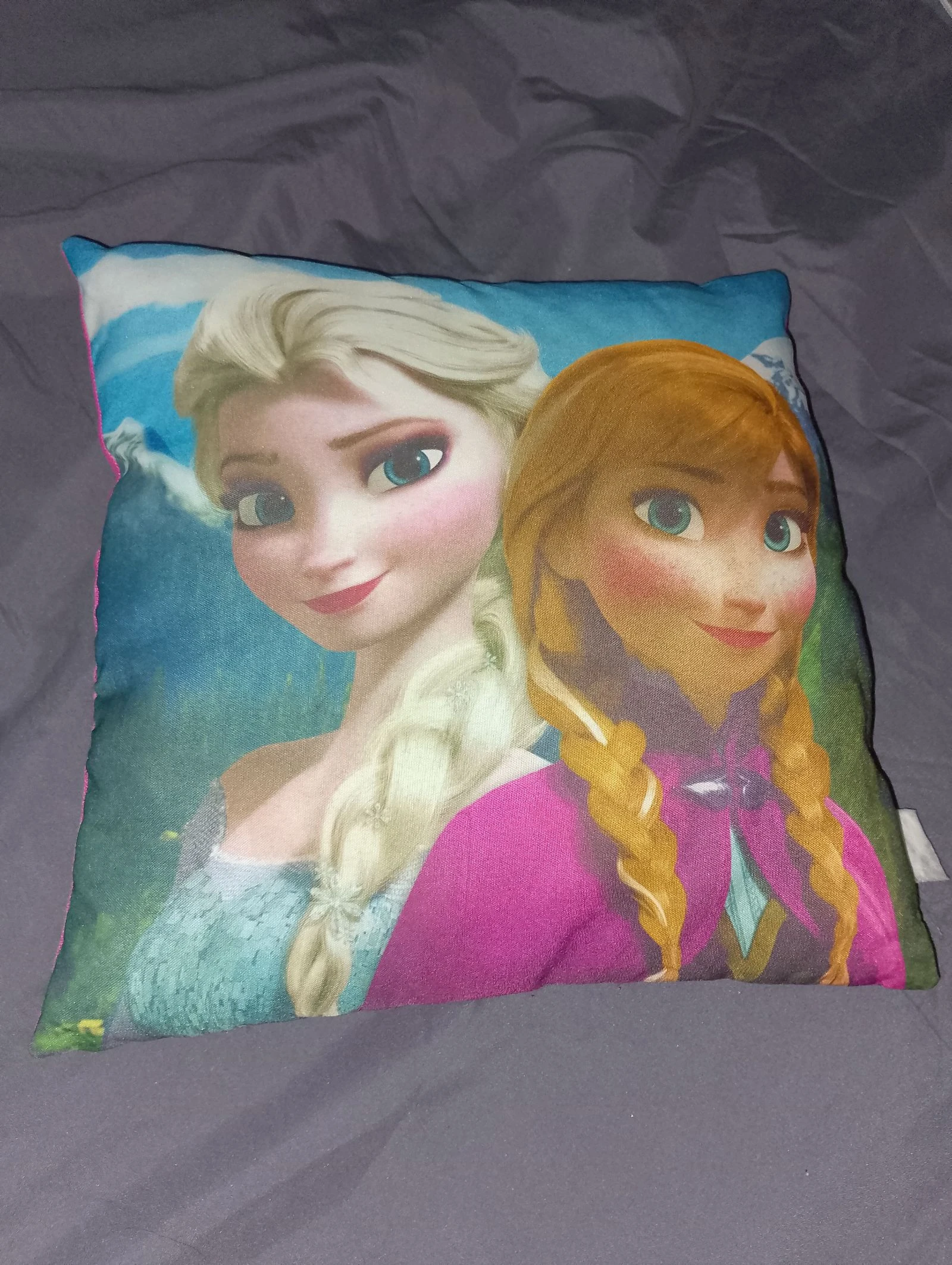 Coussin La Reine des Neiges Elsa Anna